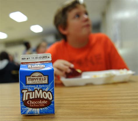 School Chocolate Milk Carton