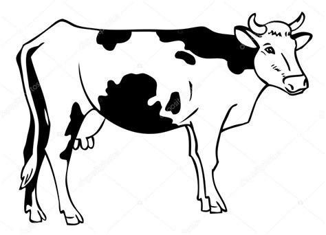 Beef Cattle Drawing at GetDrawings | Free download