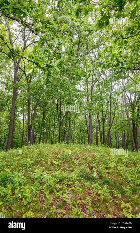 Effigy Mounds National Monument Stock Photo - Alamy