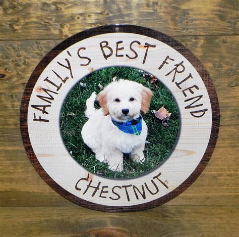 Custom Pet Metal Sign Dogs Cats Horses & all farm animals | Etsy | Dog signs, Pets, Animals