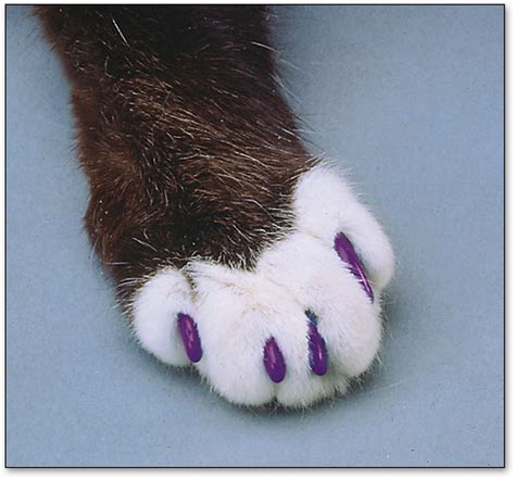 Soft Claws Purple Cat Nail Caps