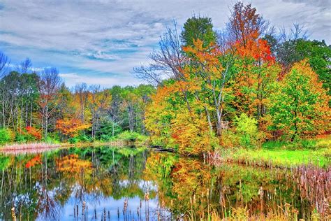 Dreams of Fall in the Finger Lakes Photograph by Lynn Bauer - Fine Art America