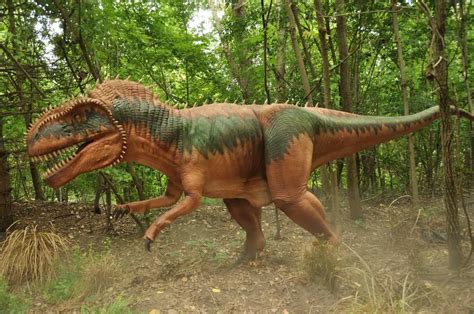 Megalosaurus | Dinosaurs - Pictures and Facts