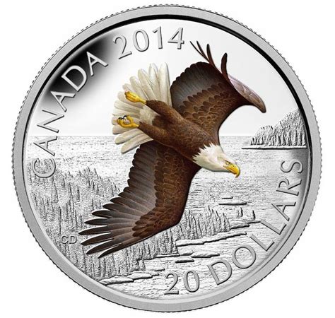 2014 $20 Soaring Bald Eagle Fine Silver Coin in 2023 | Bald eagle ...