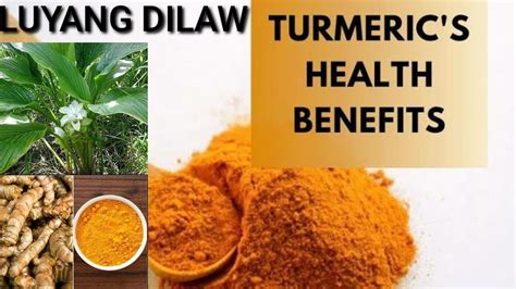 Benefits Of Luyang Dilaw - HEALTH CARE FOR FLORIDAHEALTH CARE FOR FLORIDA