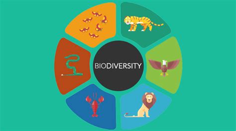 What Is Biodiversity (Biological Diversity)? - Earth How