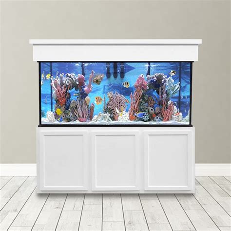 240 Gallon Saltwater Aquarium - Custom Glass Fish Tank - Custom Aquariums