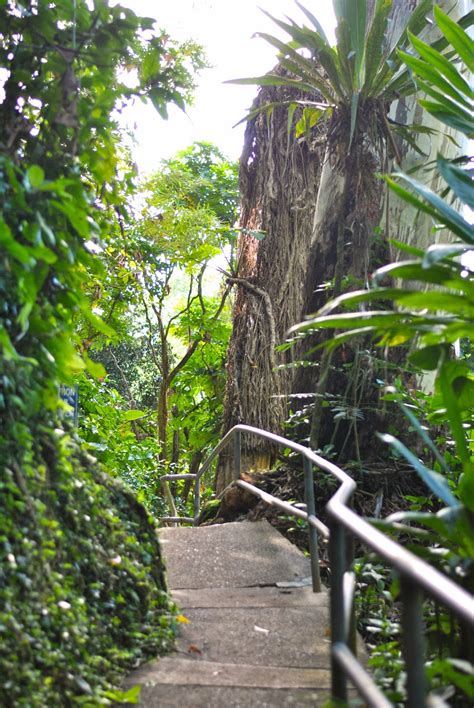 Wahiawa Botanical Garden - Fashion and Travels