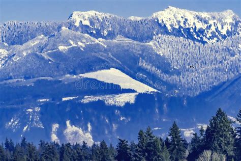 Snow Capped Mountains Bellevue Washington Stock Image - Image of nature ...