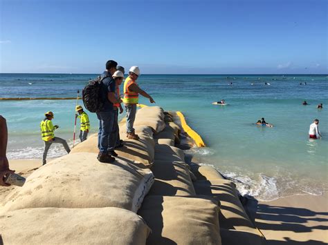 Coastal Erosion Prevention