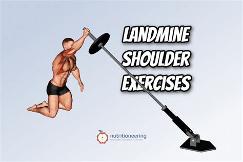 3 Example Leg and Shoulder Workouts to Get the Best Results