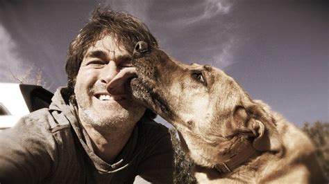 Is it safe to let your dog lick your face? Here's what vets say ...