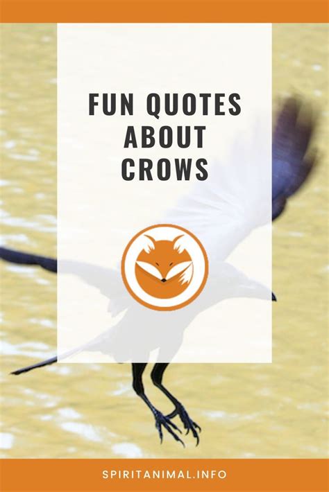 For the crow lover. Check out these inspirational quotes about crows. Click through now. # ...