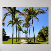 FLORIDA BEACH PALM TREES TROPICAL PARK POSTER | Zazzle