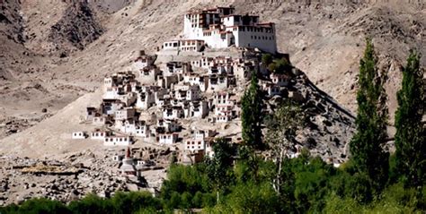 Ladakh snow leopard Sighting trek, winter snow leopard trekking