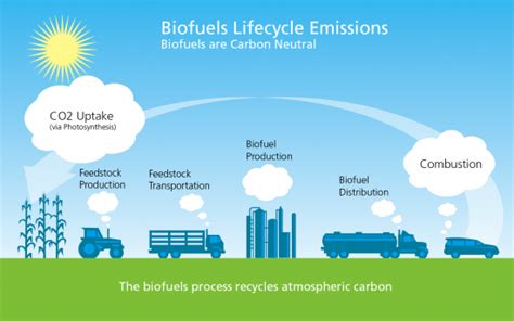 27+ Biofuels And Fossil Fuels Pics - Engineering's Advice