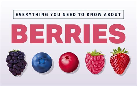 The Health Benefits Of Berries.