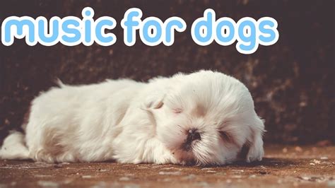 15 HOURS of Deep Sleep Relaxing Dog Music! NEW Helped 10 Million Dogs ...