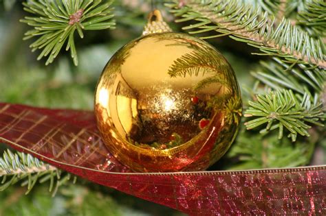 Christmas Ornaments 1 Free Photo Download | FreeImages