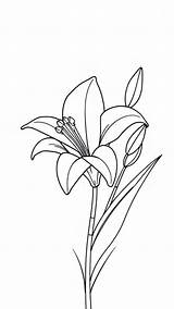 12 Free Printable Easter Lily Coloring Pages For Fun  Christ Hold Fast sketch template
