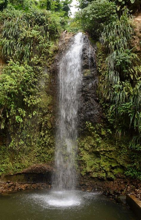 Explore Two Very Different Waterfalls in Soufriere, St. Lucia