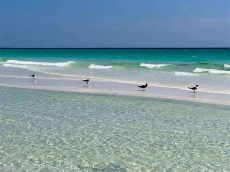 The Emerald Coast is one of the so-called 12 Coasts of Florida. It is rich with history and ...