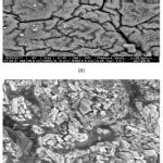 Synthesis of Self-Colored Thermal Stabilized Acrylonitrile / Itaconic Copolymers : Oriental ...