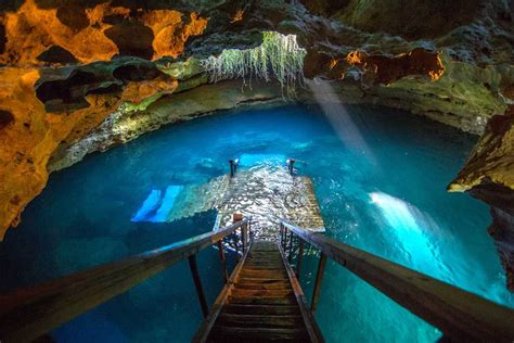 Devil's Den Florida: A Guide to Exploring the Prehistoric Spring