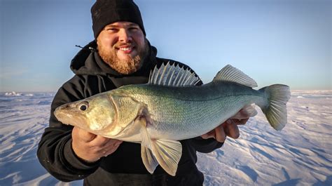 Ever try ice fishing walleyes with plastics? – Target Walleye