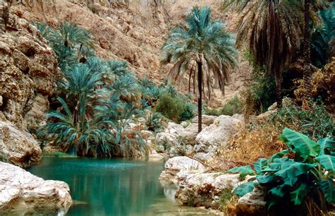 The best way to explore Wadi Shab, Oman • The Travel Escape