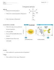 Respiration and Proteins: Understanding the Process and Purpose ...