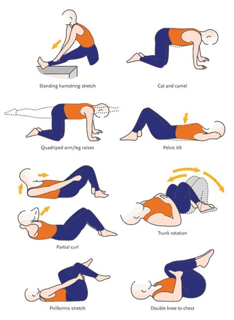 25 best Exercises For Lower Back images on Pinterest | Work outs ...