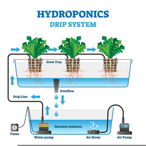 Hydroponic System: how to choose the ideal system for you? - Rise ...