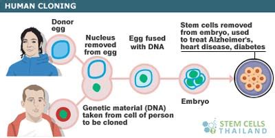 Reproductive and Therapeutic cloning for Humans