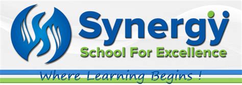 Synergy School for Excellence