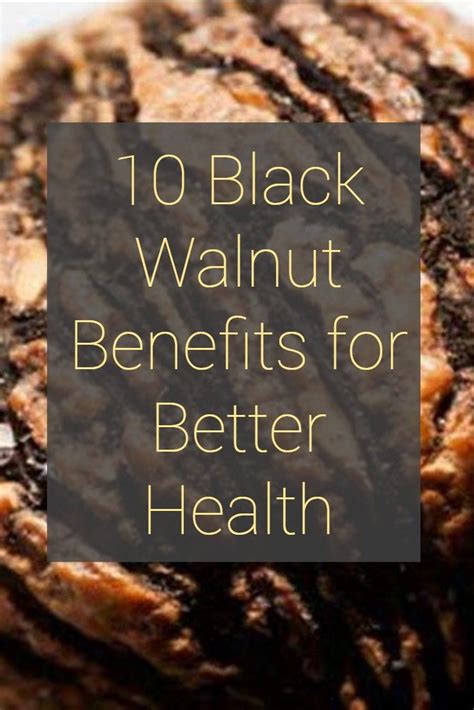 10 Health Benefits of Black Walnuts + Natural Remedies