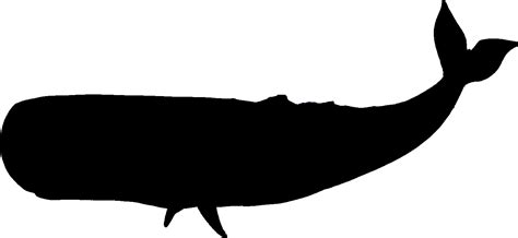 Free Black Whale Cliparts, Download Free Black Whale Cliparts png images, Free ClipArts on ...