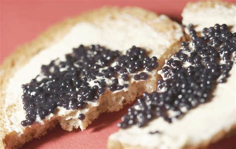 American Paddlefish Caviar – Caviar Express, Inc.