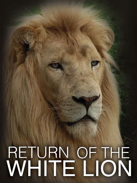 Watch The Return of the White Lion | Prime Video