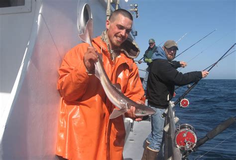 Newport Marina Store & Yaquina Bay Charters | Oregon Coast Fishing Charters, Boat Rentals, Bait ...