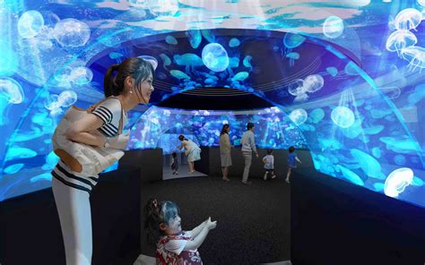 Jellyfish Boom in Japanese Aquariums 008 | JAPAN Forward