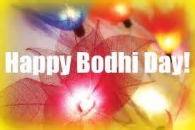 Happy Bodhi Day! - Beginner's Heart