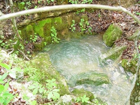 We have 2 natural springs on our property. | Spring nature, Outdoor ...