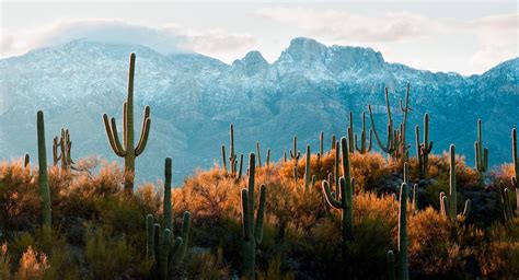 visionarywild.com ( Table Mountain, Santa Catalina Mountains, Tucson, AZ )