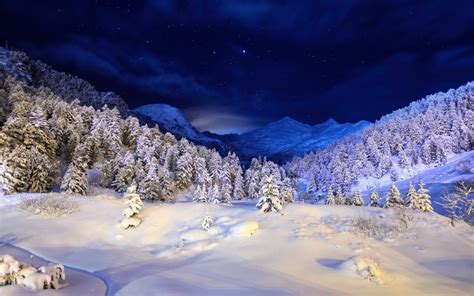 Winter night, mountains, stars, snow, forest, trees wallpaper | nature and landscape | Wallpaper ...