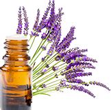 Which Essential Oil Brands Provide The Purest Quality Oils in 2019?