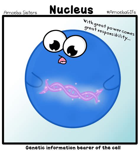 Nucleus GIF by SarinaSunbeam on DeviantArt