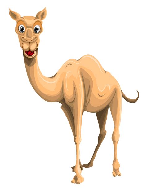 Camel PNG