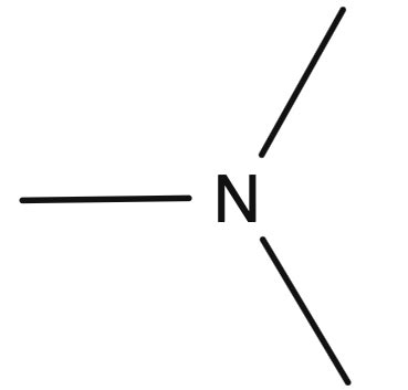 How to Identify Functional Groups that Form the Basis of Amines ...