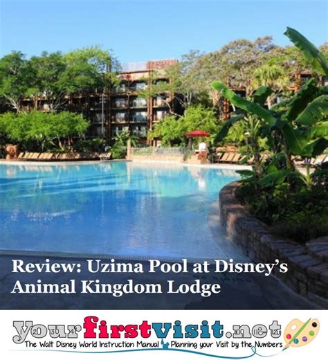 The Uzima Springs Pool at Disney's Animal Kingdom Lodge ...